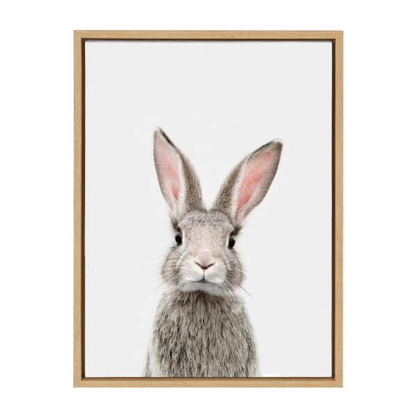 Kate and Laurel Sylvie "Animal Studio Female Rabbit" by Amy Peterson Framed Canvas Wall Art