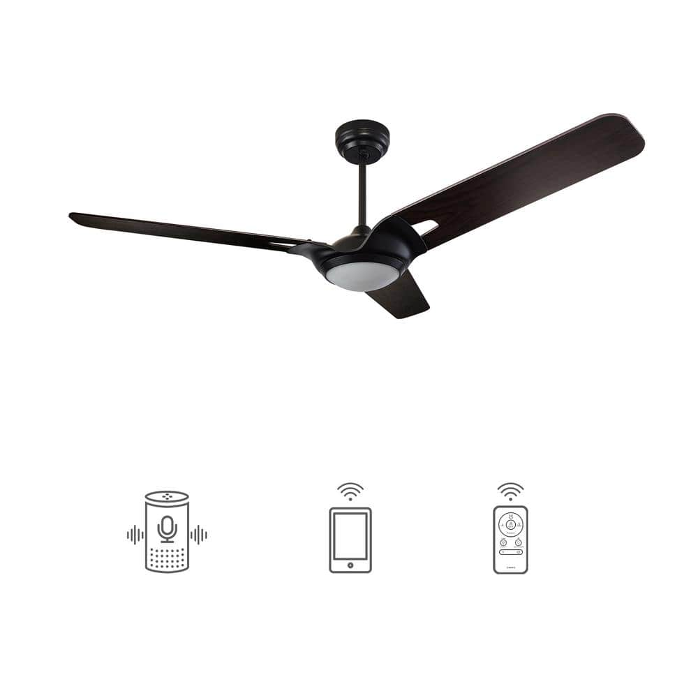 CARRO Alden 52 in. Dimmable LED Indoor/Outdoor Black Smart Ceiling Fan ...