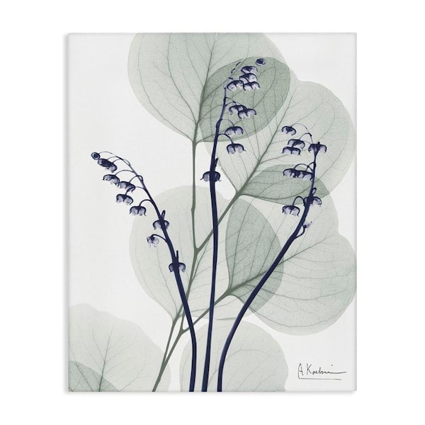 Serene Modern Eucalyptus by Albert Koetsier Unframed Nature Graphic Art Print 30 in. x 24 in.