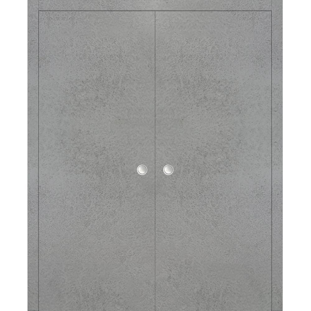 Planum 0010 48 in. x 80 in. Flush Concrete Finished Wood Sliding Door with Double Pocket Hardware price history on PriceWatchPro