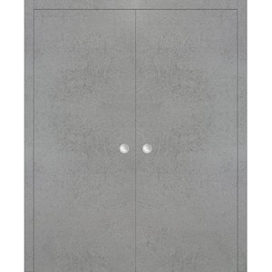 Planum 0010 36 in. x 80 in. Flush Concrete Finished Wood Sliding Door with Double Pocket Hardware