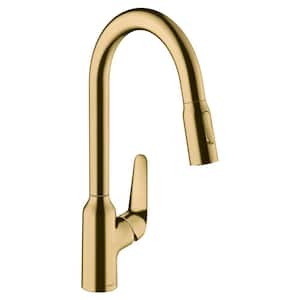 Focus N Single-Handle Pull Down Sprayer Kitchen Faucet with QuickClean in Brushed Gold Optic