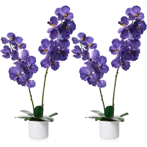31.5 in. Purple Indoor Artificial Orchid Tree in White Pot, 2Pcs Lifelike Phalaenopsis Faux Plant for Home Office Decor