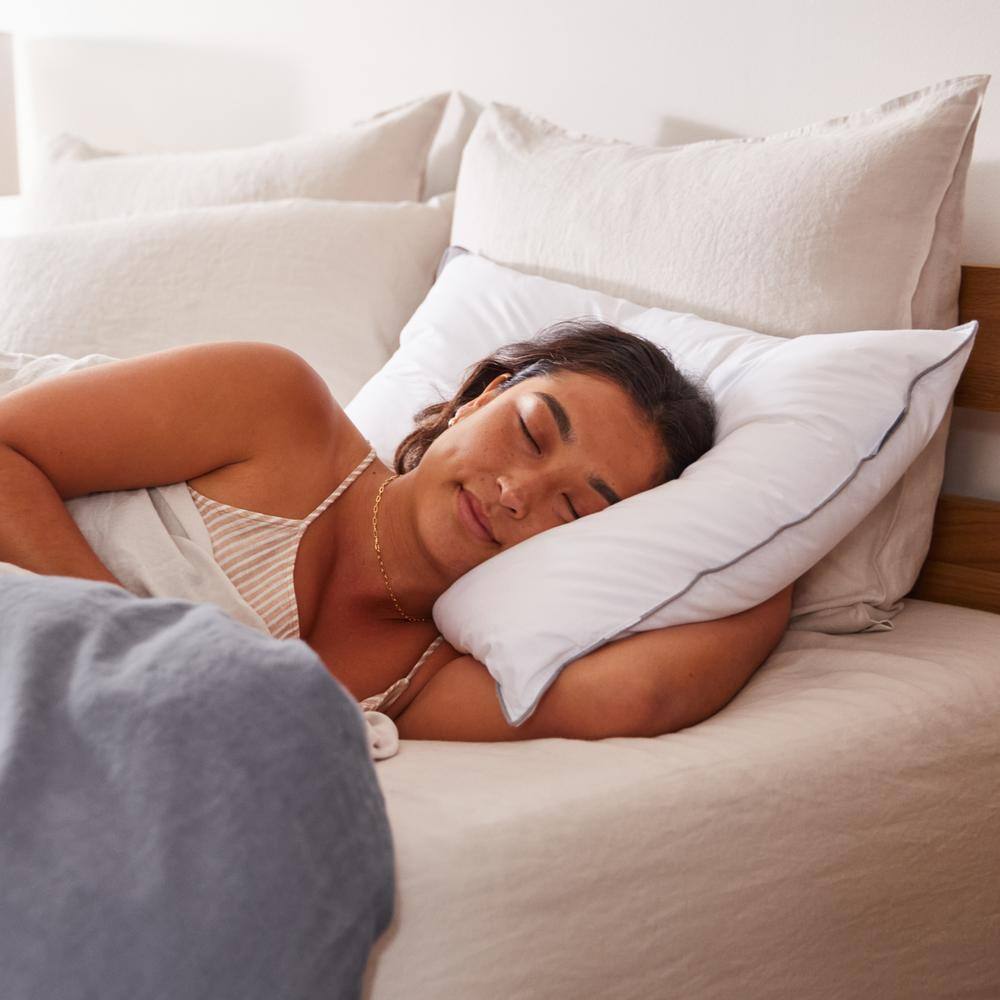 Standard White Hypoallergenic Down Alternative Pillow Set