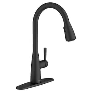 Fairbury 2S Single-Handle Pull-Down Sprayer Kitchen Faucet in Matte Black