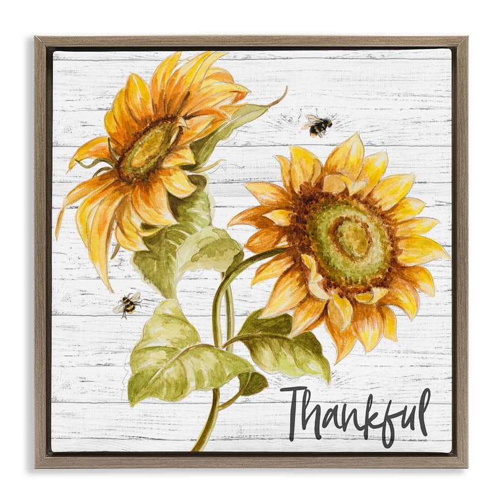 Thankful Country Sunflowers by Patricia Pinto Brown Floater Frame Graphic Art Print Nature 25 in. x 25 in. price history on PriceWatchPro