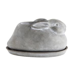 10 in. L x 5.75 in. W x 5 in. H Gray Cement Stone Rabbit Decorative Pots with Saucer (2-Pack)