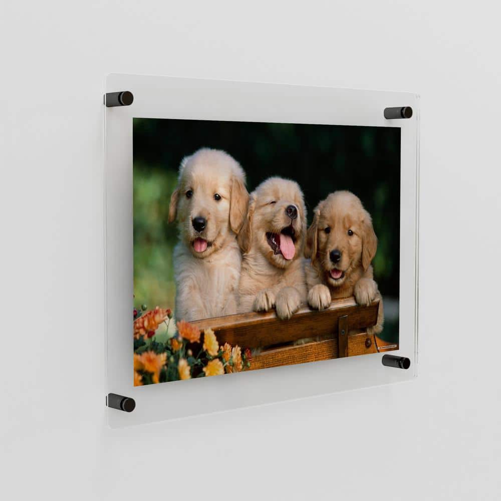 23" x 23" Black Acrylic Floating Wall Photo Frame Set