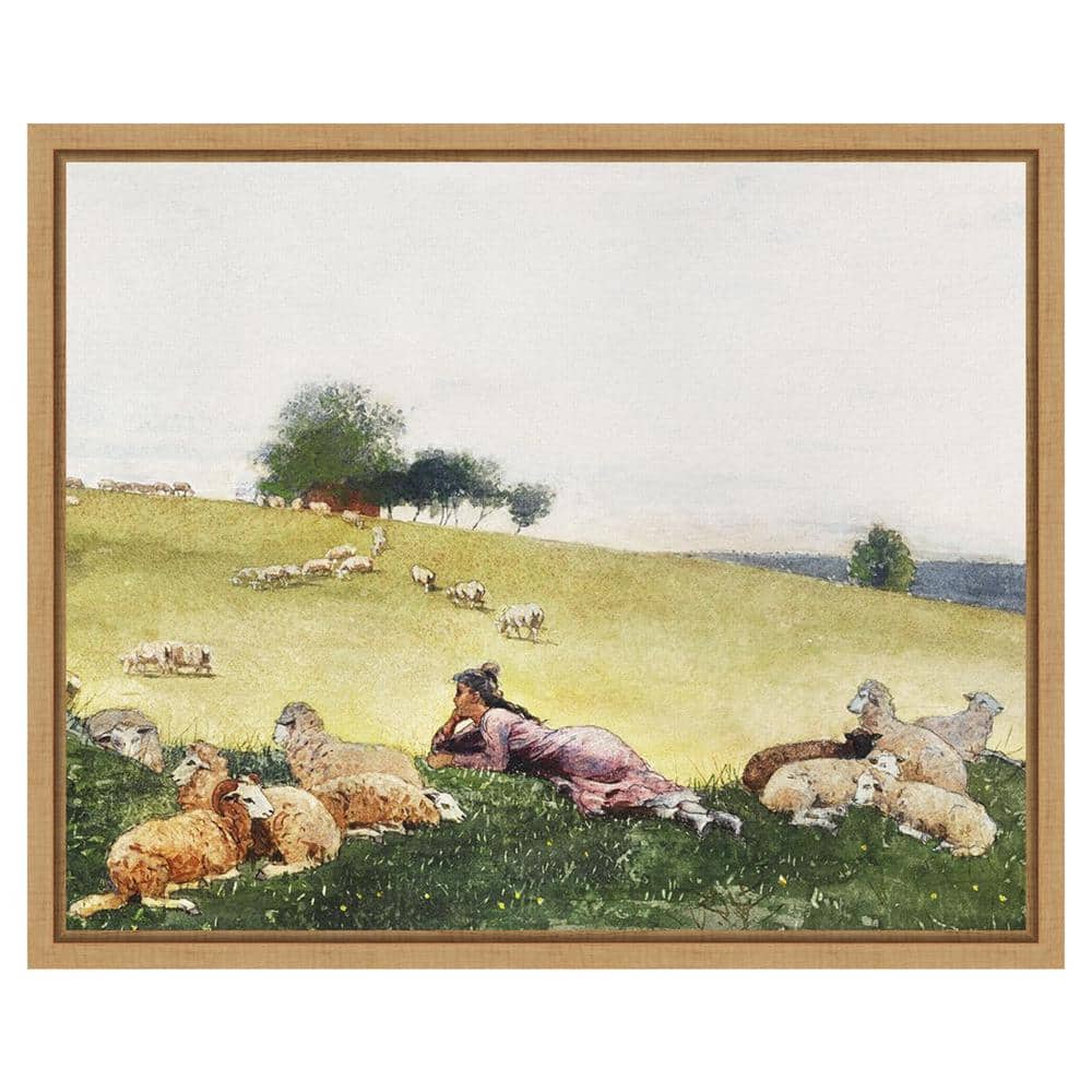 Homers Sheep Countryside II Realism Canvas Print with Maple Frame