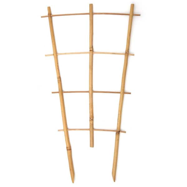 16 Inch Bamboo Fan Shaped Trellis Small Indoor Plant Support for Climbing Orchid Monstera Vine Hoya 3 Pack