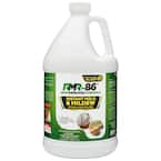 1 Gal. Instant Mold & Mildew Stain Remover