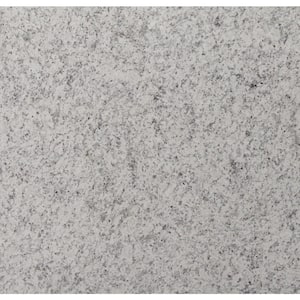 3 in. x 3 in. Granite Countertop Sample in Ashen White