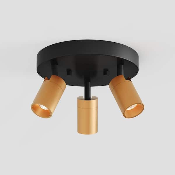 Shura Black and Brass 3-Light Round Ceiling Light with Rotatable Heads, Integrated LED Bulbs, Fixed Track, 3000K, 1365L