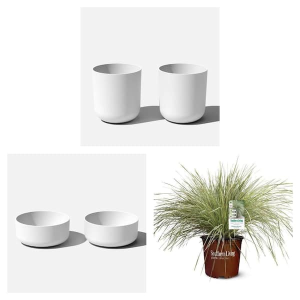 Kona 20 in. Round White Plastic Planter (2-Pack), 14 in. Bowl Planter (2-Pack) and 2.5 Qt. Platinum Beauty Lomandra