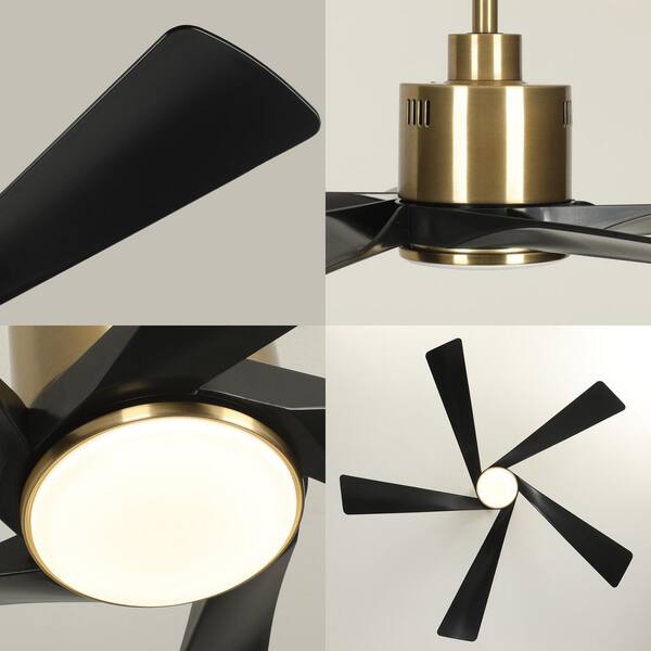 skk._.i☘️ TOZING 52 in. LED Smart Indoor Modern Black Gold 5-ABS