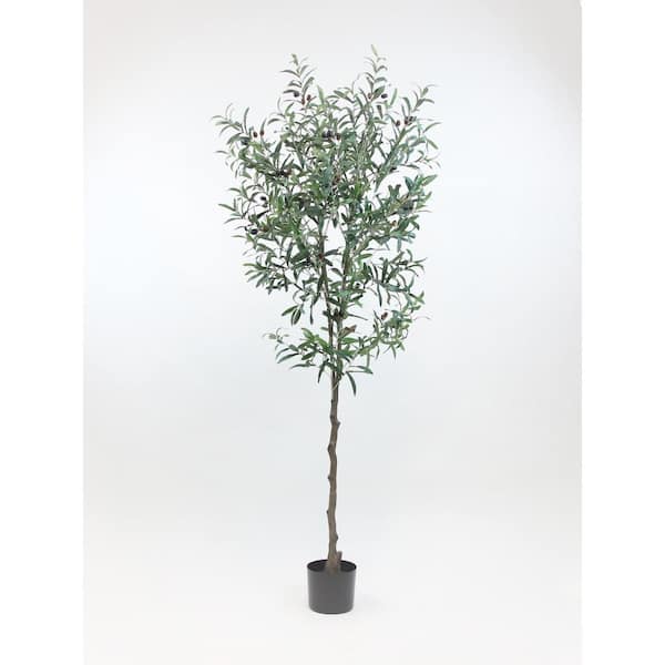 Artificial Black Olive Tree