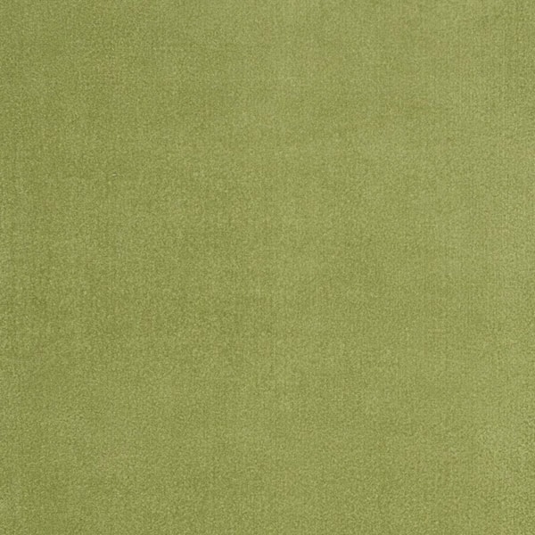 Green 7 ft. x 10 ft. Woven Polypropylene Indoor/Outdoor Area Rug