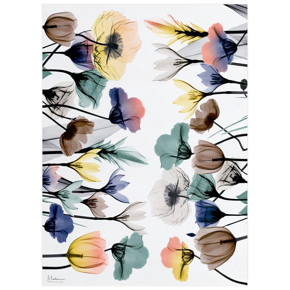 Multi-Colored 8 ft. x 10 ft. Floral Pleasures I Washable Flowers Art Area Rug price history on PriceWatchPro