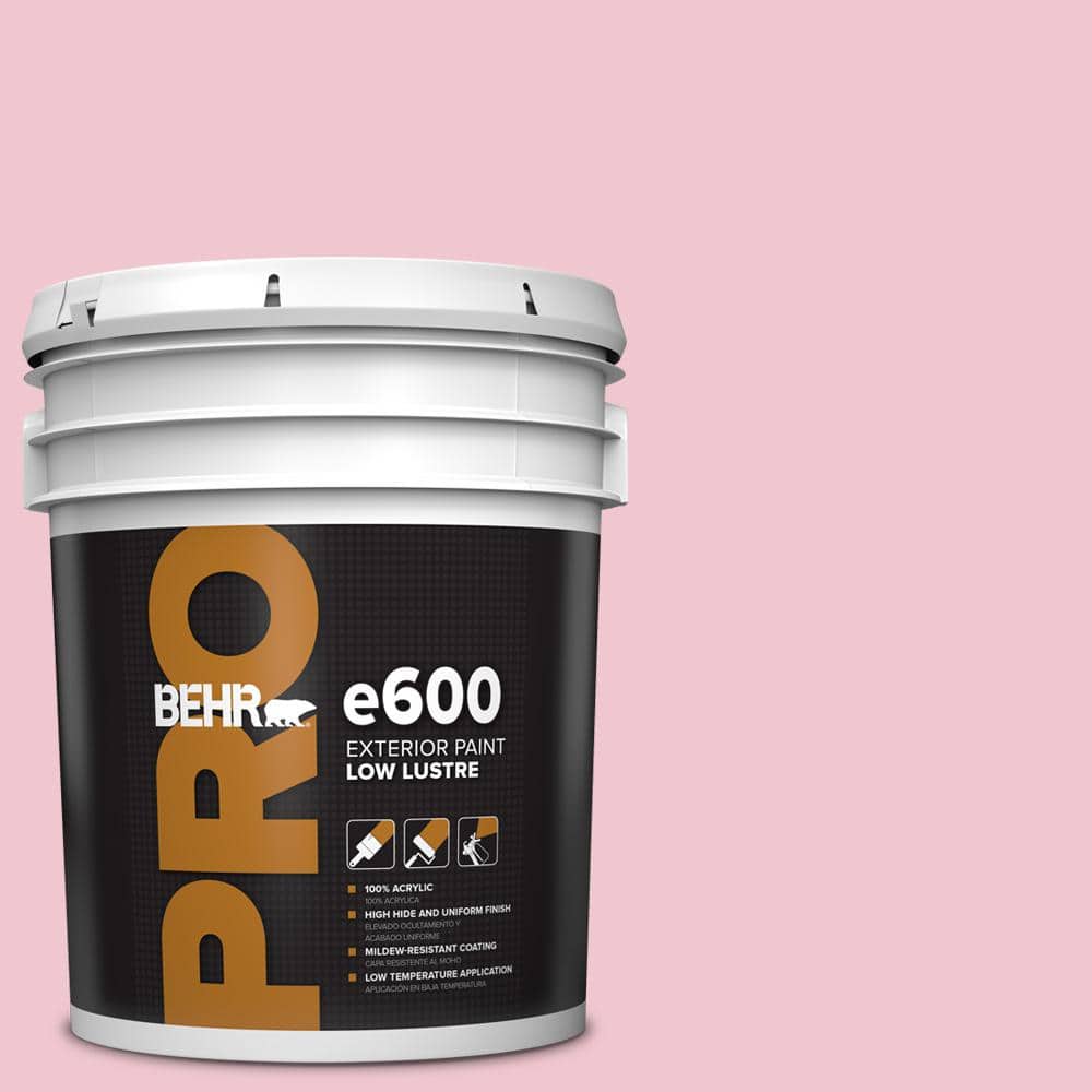 5 gal. #P140-2 Sweetheart Low Luster Exterior Paint price history on PriceWatchPro