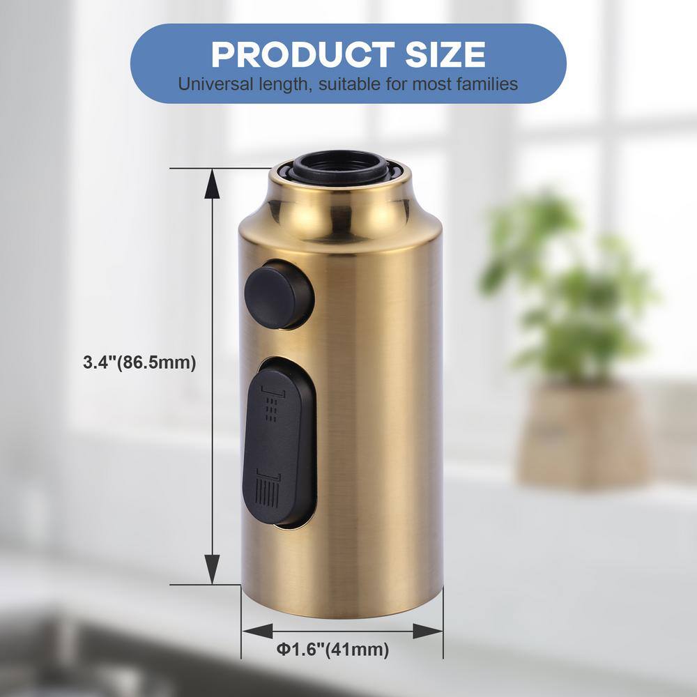 Gold 3-Function Kitchen Faucet Spray Head with 9 Adapters