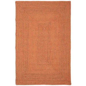 Braided Rust Orange 3 ft. x 4 ft. Border Solid Color Area Rug