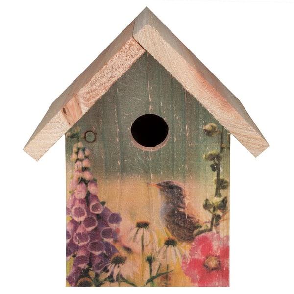 Bird houses store home depot