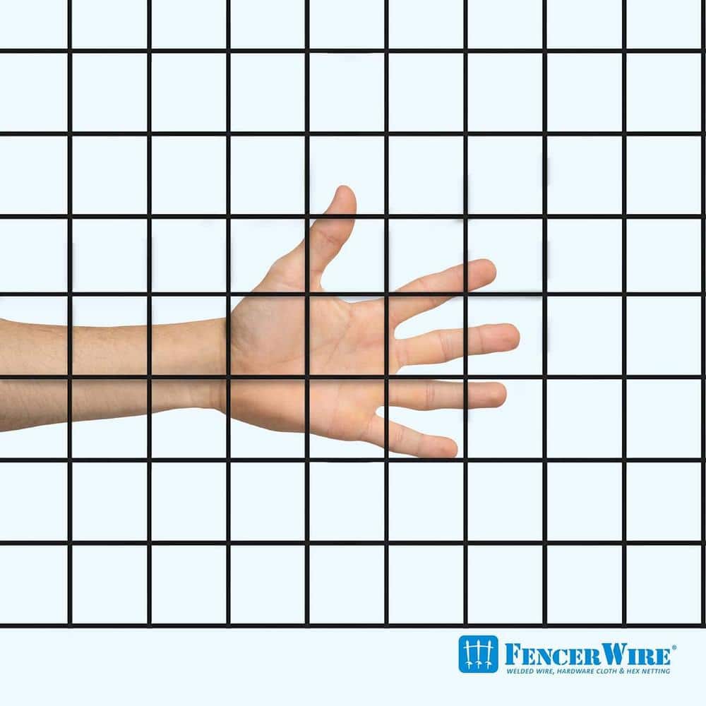 Black Vinyl Coated Welded Wire Mesh 3' x 50' 16 Gauge