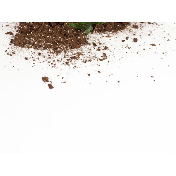 G-Floor GrowFloor Absolute White Ceramic High Gloss 5 ft. x 10 ft. Commercial Vinyl Sheet