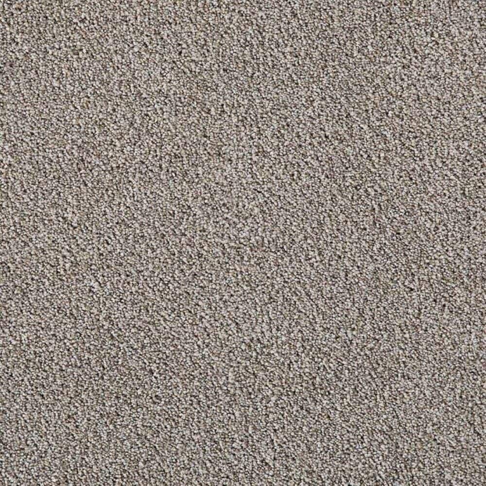 8 in. x 8 in. Texture Carpet Sample-Velvetine II-Color Grace price history on PriceWatchPro