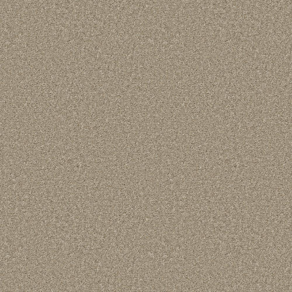8 in. x 8 in. Texture Carpet Sample - Enchanted -Color Fawnwood price history on PriceWatchPro