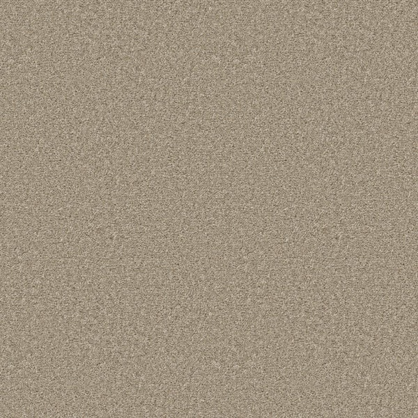 Home Decorators Collection 8 in. x 8 in. Texture Carpet Sample - Enchanted -Color Fawnwood