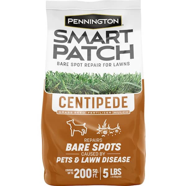 Pennington Smart Patch Bare Spot Repair for Lawns Centipede Grass Seed Fertilizer and Mulch Mix 5 lbs.
