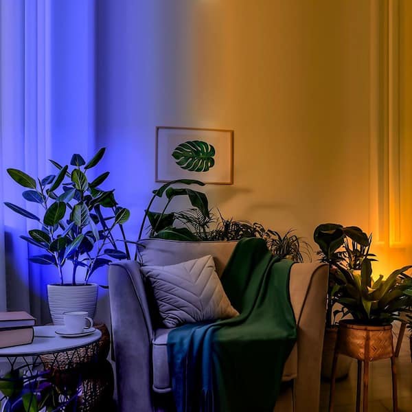 600-Lumen Black LED Floodlight with Remote Control, Plug-in Indoor Accent Lighting for Wall, Stage (2-Pack)