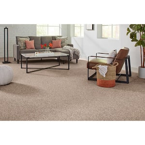 Finton  - Sequoia - Brown 24 oz. SD Polyester Loop Installed Carpet