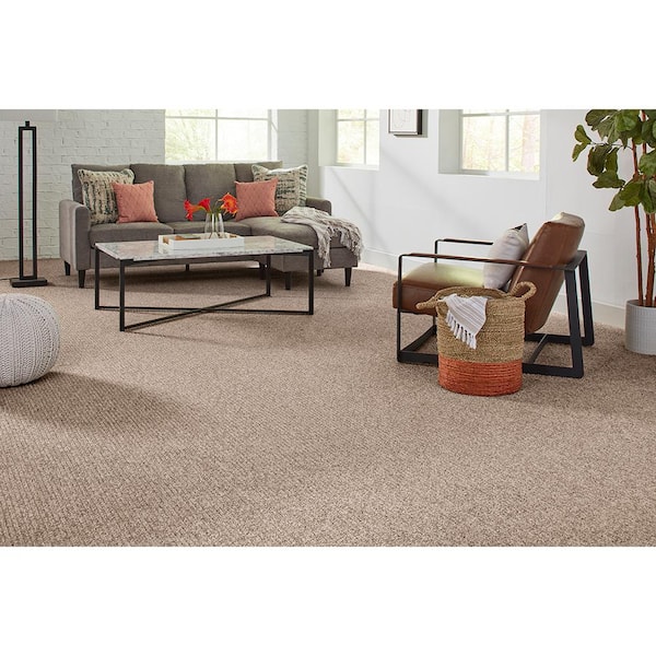 Finton  - Sequoia - Brown 24 oz. SD Polyester Loop Installed Carpet