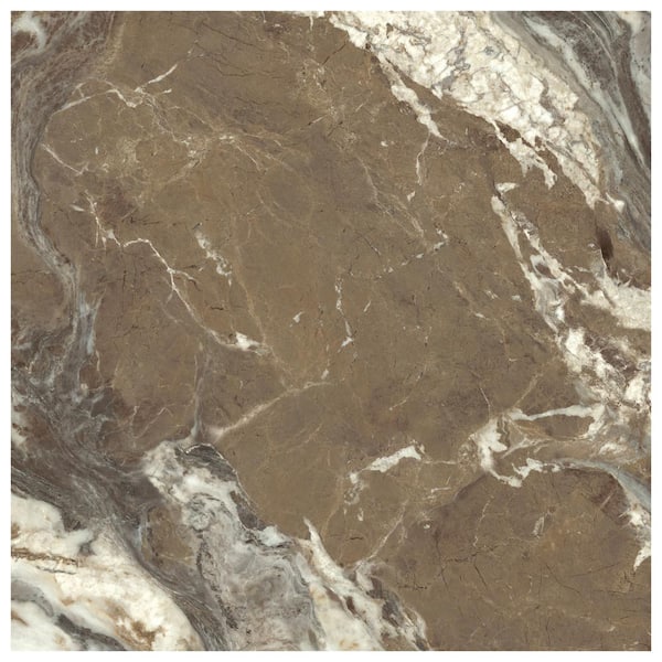 Signet Espresso Brown 8 in. x 0.35 in. Marble Look Satin Porcelain Floor and Wall Tile Sample
