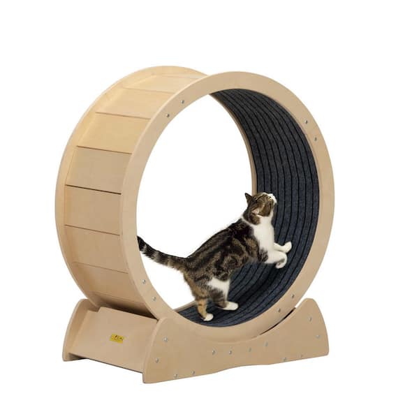 COZIWOW Cat Treadmill Exercise Wheel, Mute Pulley