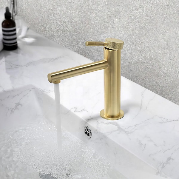 Single Hole Vanity Faucet Single Handle Bathroom Sink Faucet with Supply Hoses in Brushed Gold