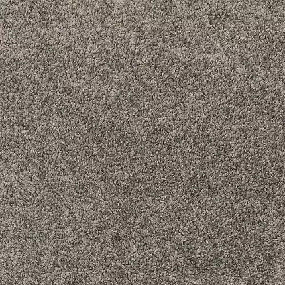 8 in. x 8 in. Texture Carpet Sample - Urban Cozy - Color Barrier price history on PriceWatchPro
