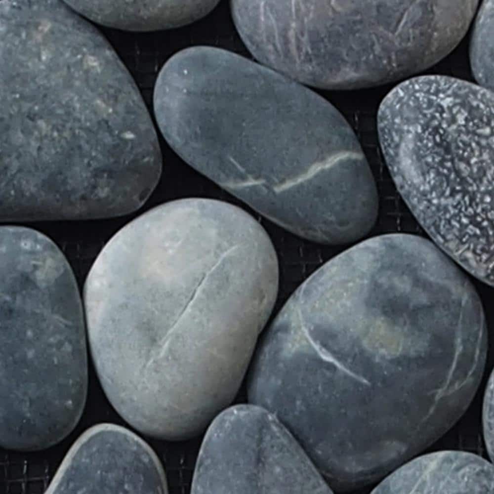 Classic Pebble Mosaic Tile Sample Color Black 4 in. x 6 in. price history on PriceWatchPro