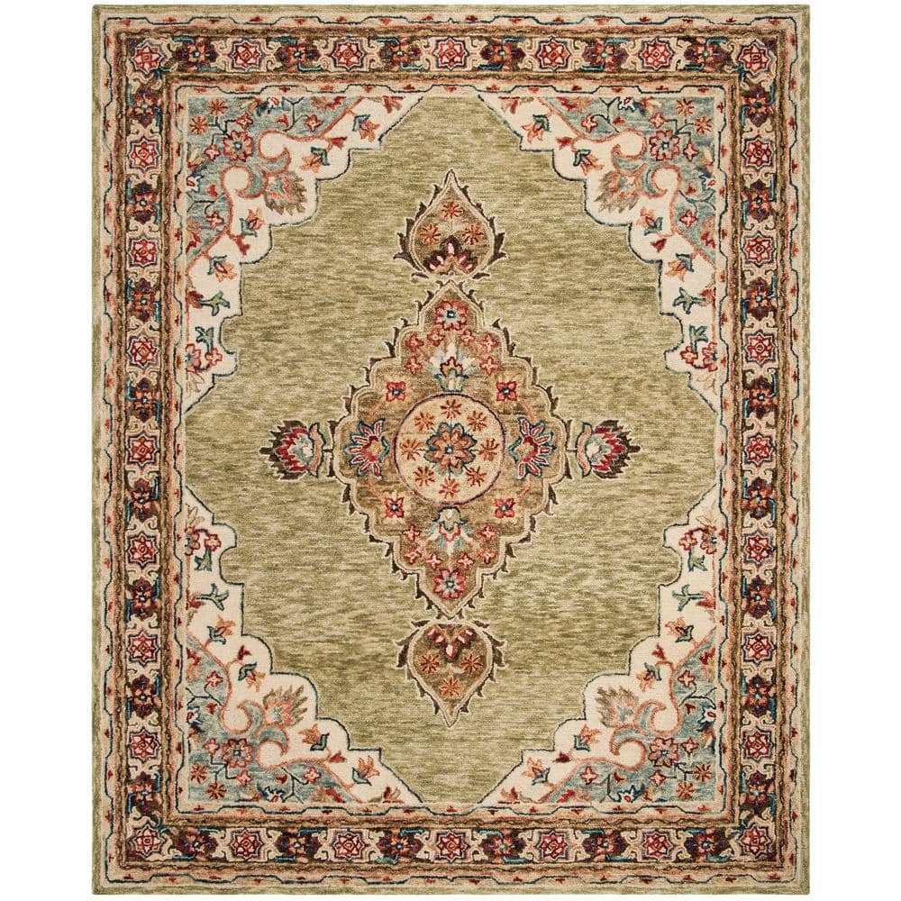 Aspen 6 ft. x 9 ft. Sage/Brown Oriental Area Rug price history on PriceWatchPro