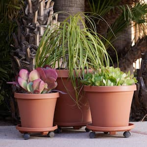 Caddy Round 12 in. Terra Cotta Plastic Plant Stand Caddy with Wheels