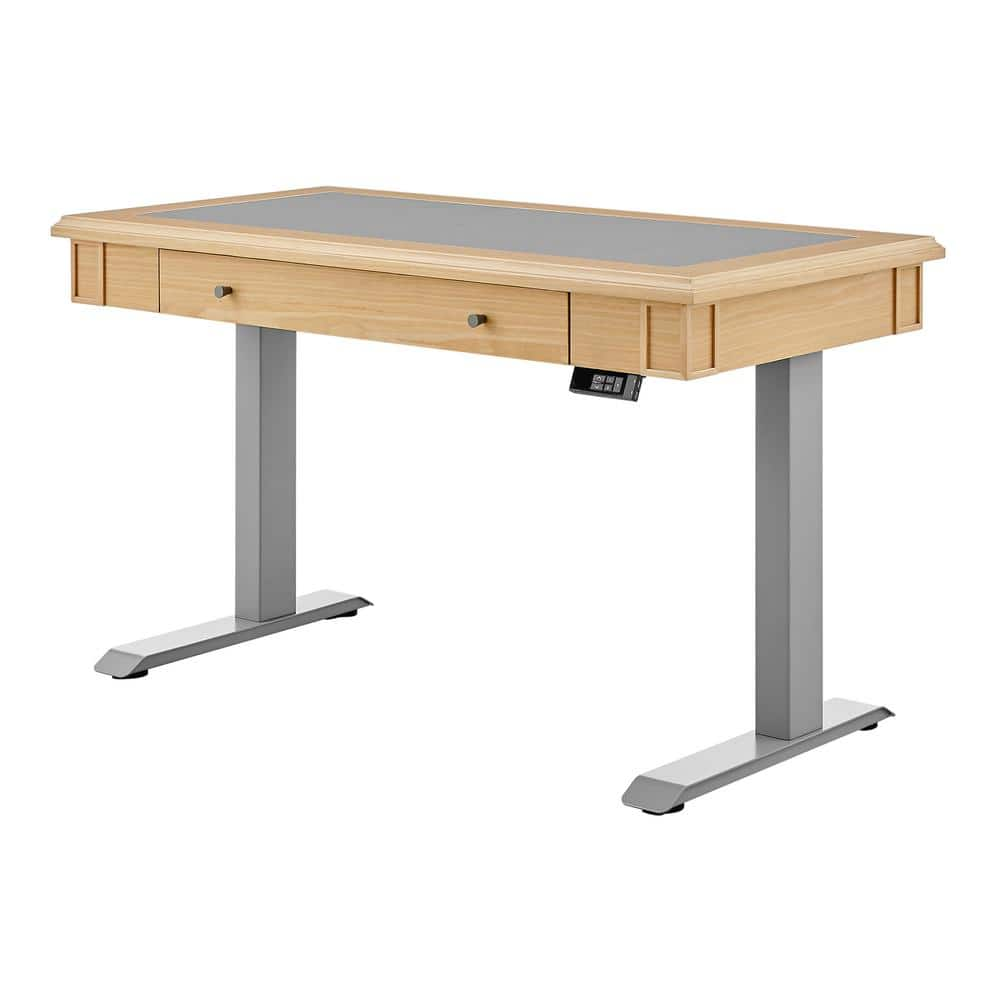 Otto Sit Stand Desk with Modesty Panel - Dania Furniture