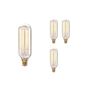 40 - Watt Equivalent T8 Dimmable Candelabra Screw Decorative Incandescent Light Bulb Amber Light 2200K, 4 Pack