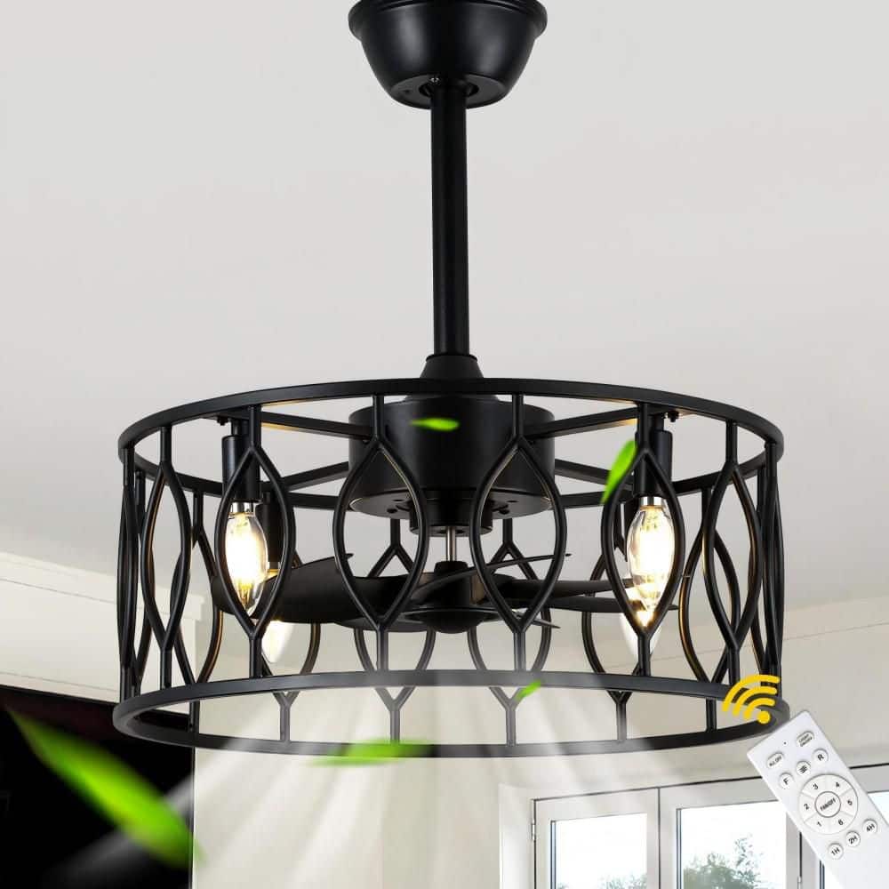 Oaks Aura Amer 20 in. Indoor Matte Black Modern Industrial Caged