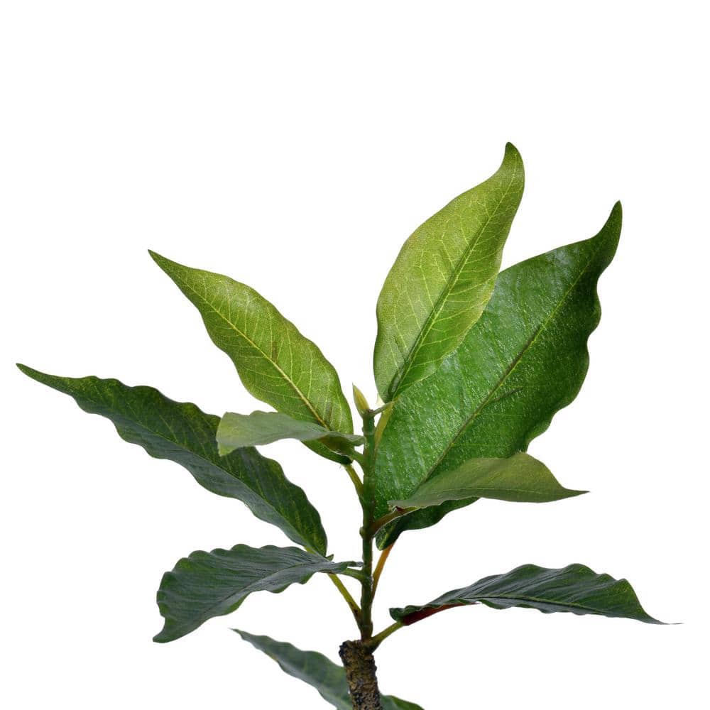Verdant Haven 6' Potted Artificial Nandina Tree with 284 Leaves