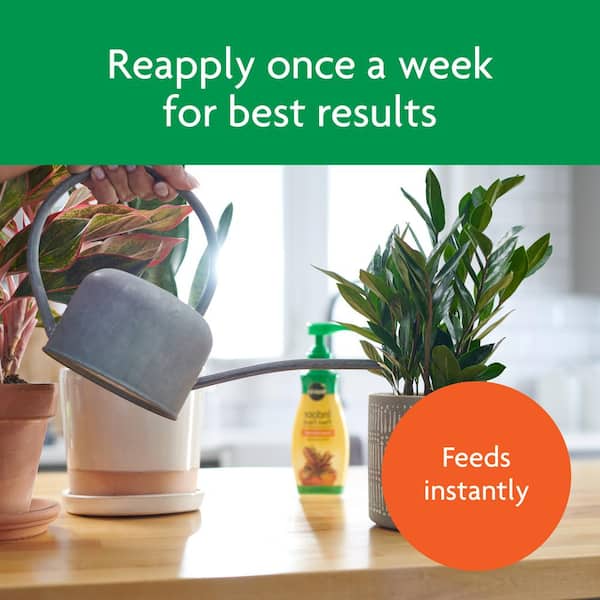 Reviews for Miracle-Gro Indoor Potting Mix Soil and Indoor Plant Food | Pg  1 - The Home Depot