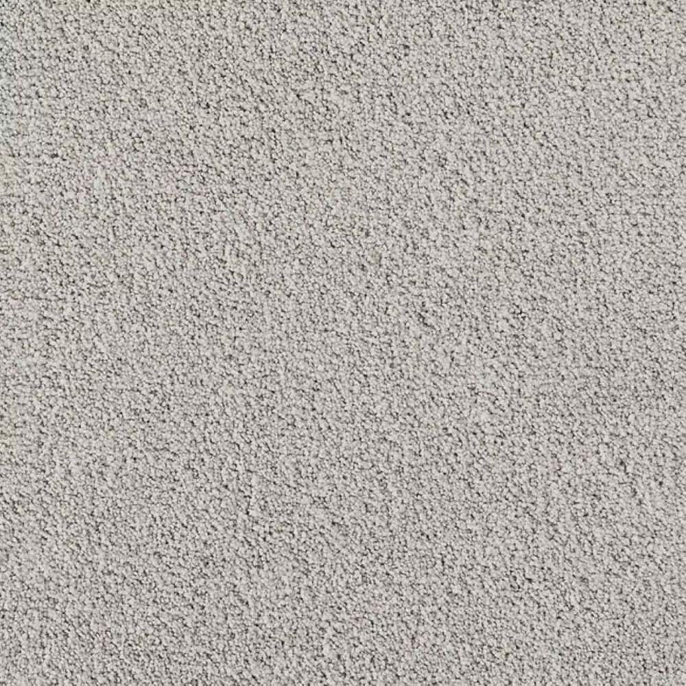 8 in. x 8 in. Texture Carpet Sample-Velvetine II-Color Fleur price history on PriceWatchPro