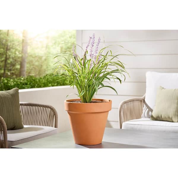 Medium Terracotta Planter with Drainage Hole (12 in. L x 12in. W x 11.3 in. H)