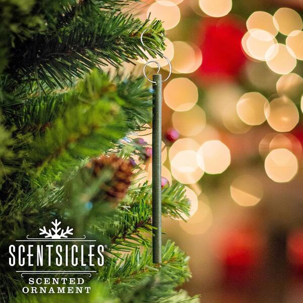 ScentSicles Scented Ornaments, 6ct Bottle, White Winter Fir,  Fragrance-Infused Paper Sticks, 2 Pack SC106-WW0159-2 - The Home Depot